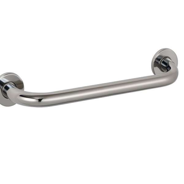 toilet grab bar for disabled person